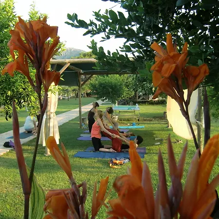 Sedir - Rooms, & 3* Dalyan