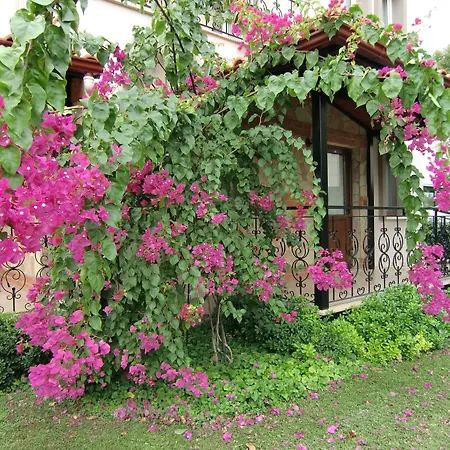 Sedir - Rooms, & Szálloda Dalyan