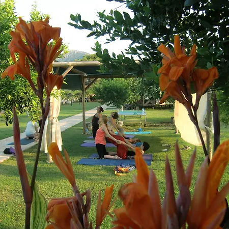 Szálloda Sedir - Rooms, &